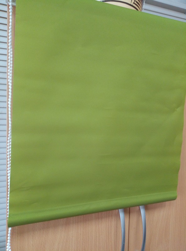 160/100 Рулонная штора, т.м. DEKORON, цвет зеленый (12)