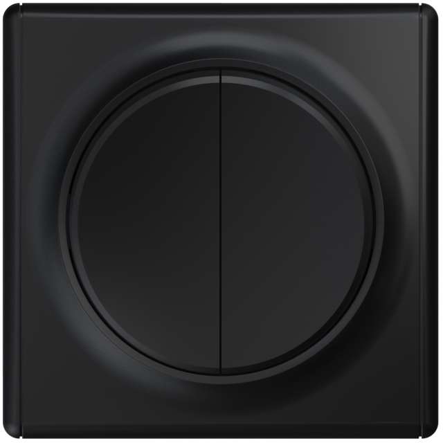 ВЫКЛЮЧАТЕЛЬ 2 КЛ, ЦВЕТ ЧЁРНЫЙ