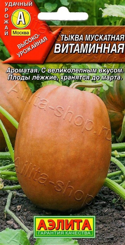 Семена Тыква мускатная Витаминная